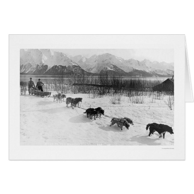 Husky Dog Team Alaska 1918 (Front Horizontal)