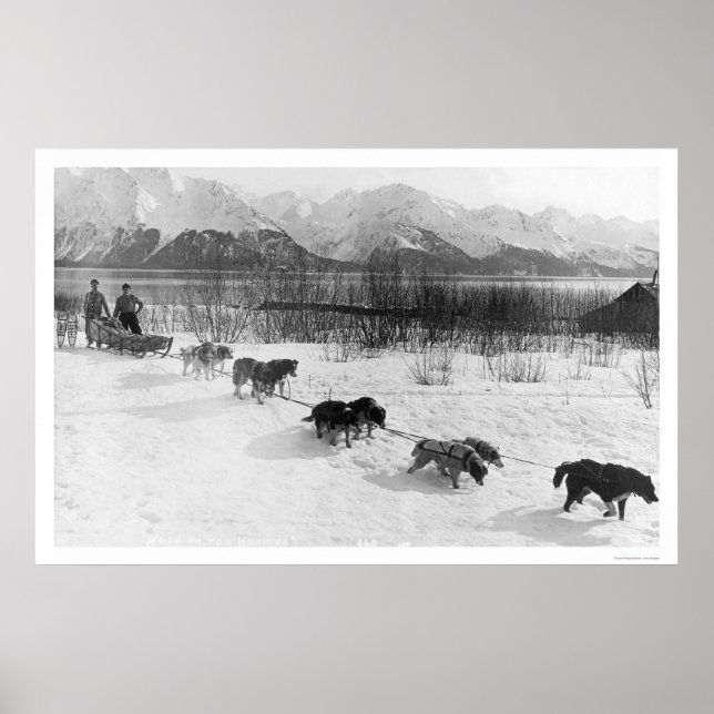 Husky Dog Team Alaska 1918 Poster (Front)