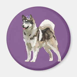 Husky dog with  Flower Photo Magnet