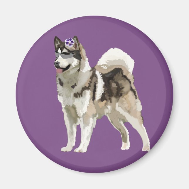 Husky dog with  Flower Photo Magnet (Front)
