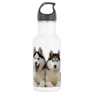 Husky Dogs 532 Ml Water Bottle
