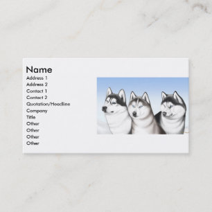 Husky Dogs Profile Card