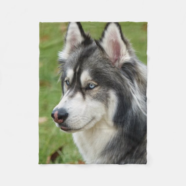 Husky Fleece Blanket (Front)