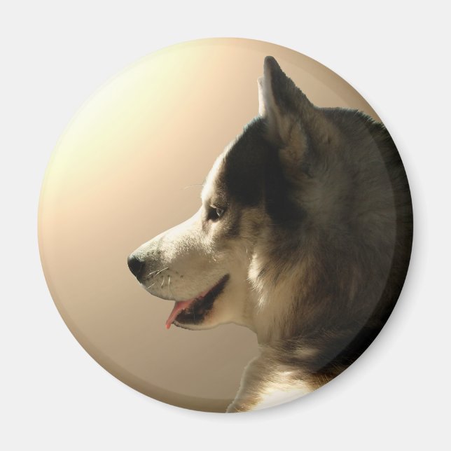 Husky Fridge Magnet Alaskan Sled Dog Magnet / Gift (Front)