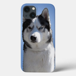 Husky Galaxy S3 Case Sled Dog Husky Case
