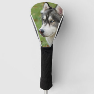 Husky Golf Head Cover