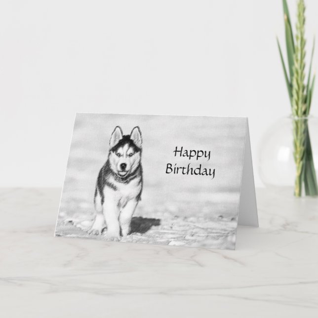 Husky Happy Birthday Card (Front)