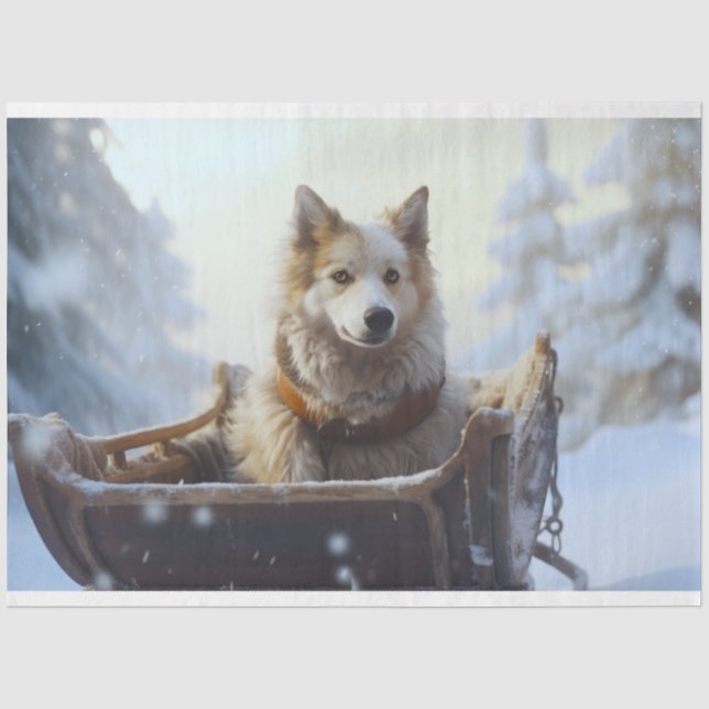 Husky in Sleigh 1 Decoupage Paper (Front)