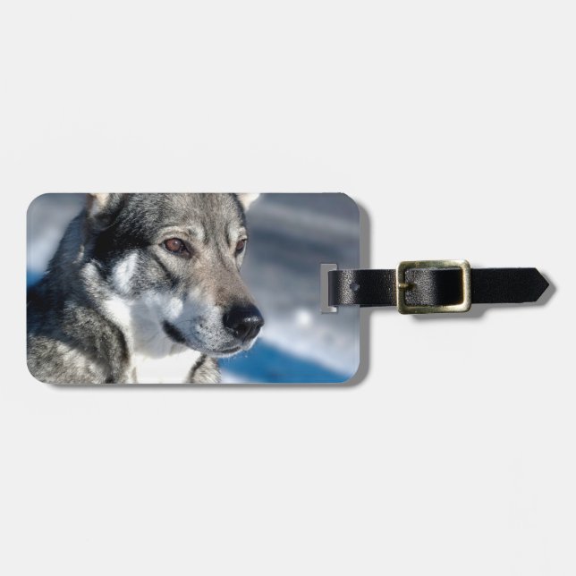 Husky in Snow Luggage Tag (Front Horizontal)