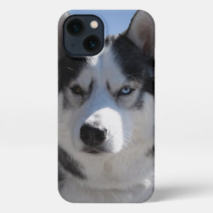 Husky iPhone Case Custom Husky Malamute Cases
