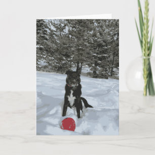 Husky Lab Dog Sitting Snow Covered Trees Red Ball Card