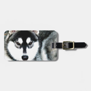 Husky Luggage Tag