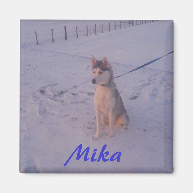Husky.Mika.magnet Magnet (Front)