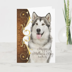 Husky Mother's Day Card