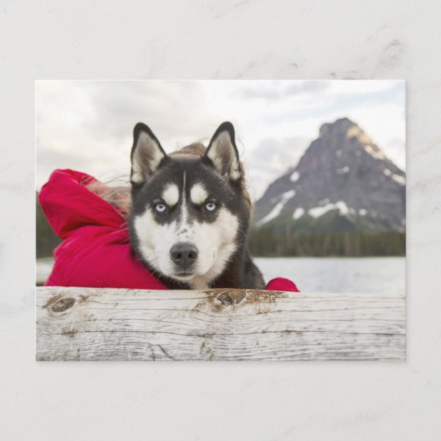 Husky Mountains Lake Postcrossing Postcard (Front)