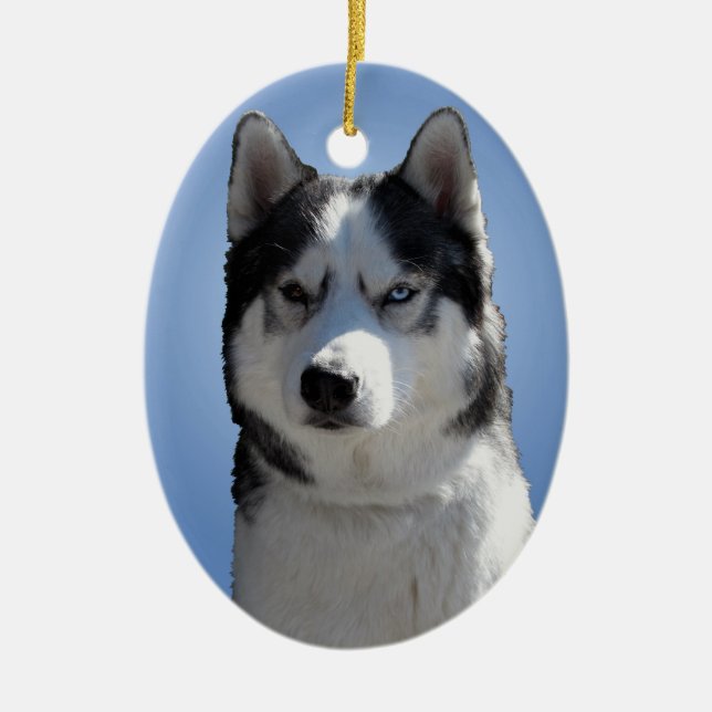 Husky Ornament Malamute Keepsake Dog Gifts (Front)