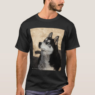 Husky Pup  Scoop T-Shirt