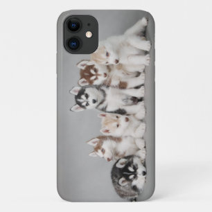 Husky puppies Case-Mate iPhone case