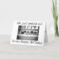 HUSKY PUPPIES SAY as a "GROUP" **HAPPY BIRTHDAY!**