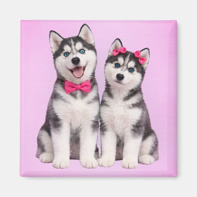 Husky Puppy Love Valentine Magnet (Front)
