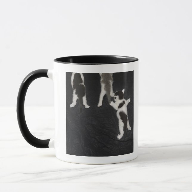 Husky Puppy Mug (Left)