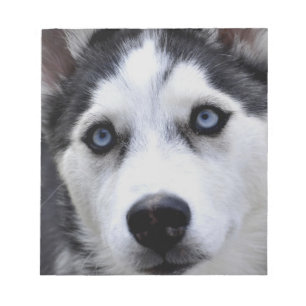 Husky Puppy Notepad