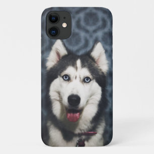 Husky Puppy Posing with a Dark Bakground Case-Mate iPhone Case