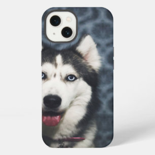Husky Puppy Posing with a Dark Bakground iPhone 13 Case