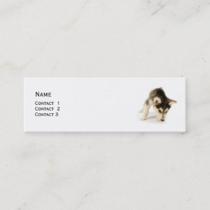 Husky Puppy Profile Card