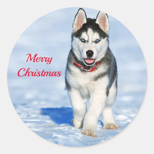 Husky Puppy Snow Photo Christmas Classic Round Sticker (Front)