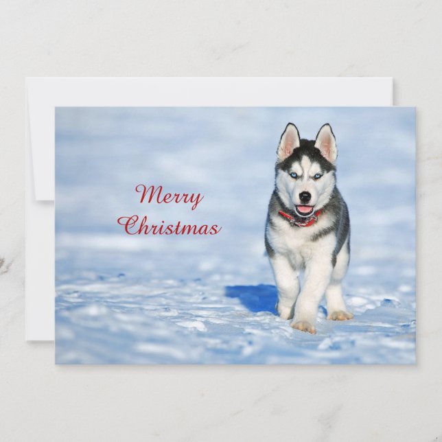 Husky Puppy Snow Photo Christmas Flat Holiday Card (Front)