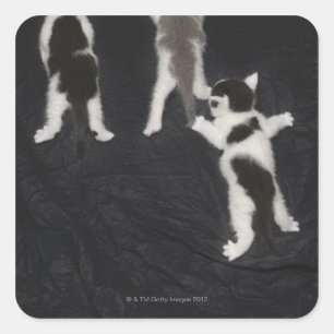 Husky Puppy Square Sticker