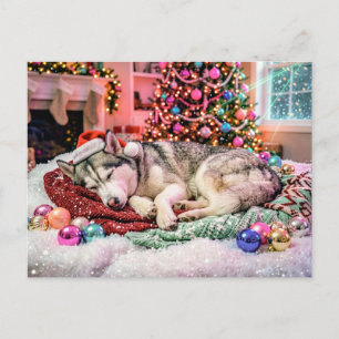 Husky Sleeping in Cosy Christmas Scene Postcard