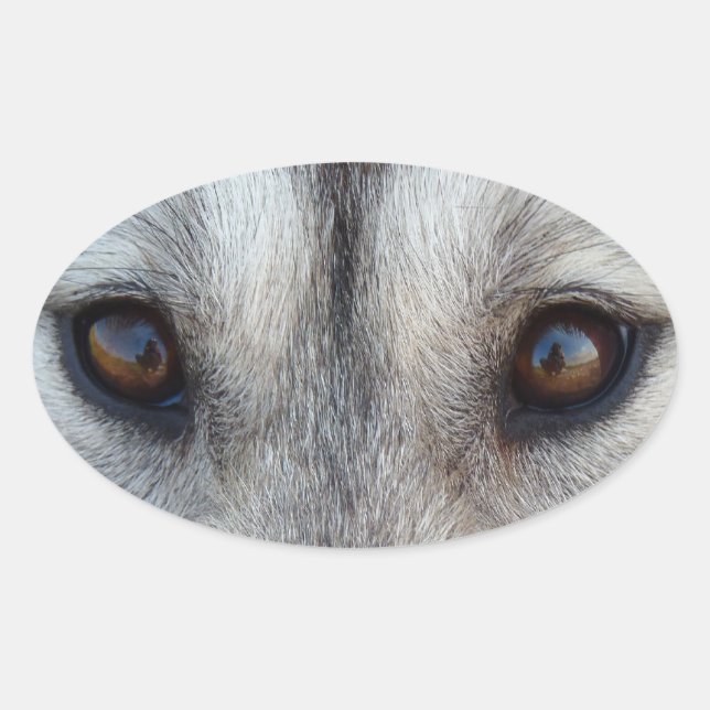 Husky Stickers Siberian Husky Wolf Pup Stickers (Front)