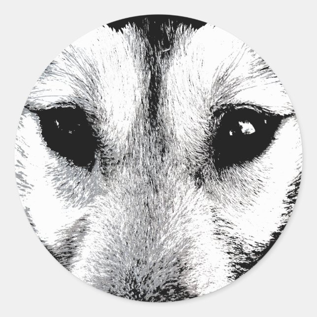 Husky Stickers Siberian Husky Wolf Pup Stickers (Front)