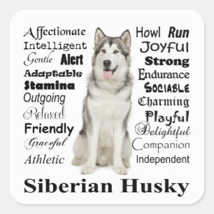 Husky Traits Stickers