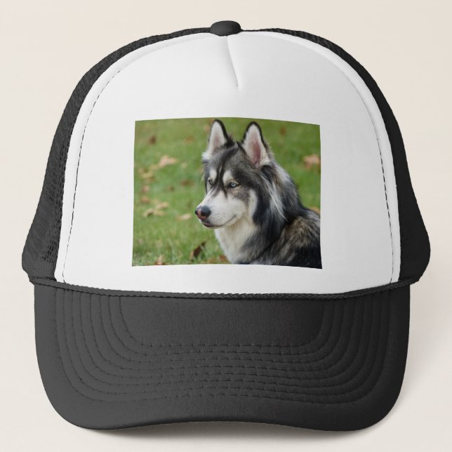 Husky Trucker Hat (Front)