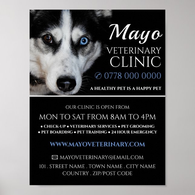 Husky, Veterinarian, Veterinary Service Advert Poster (Front)