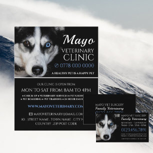 Husky, Veterinarian, Veterinary Service Business Card