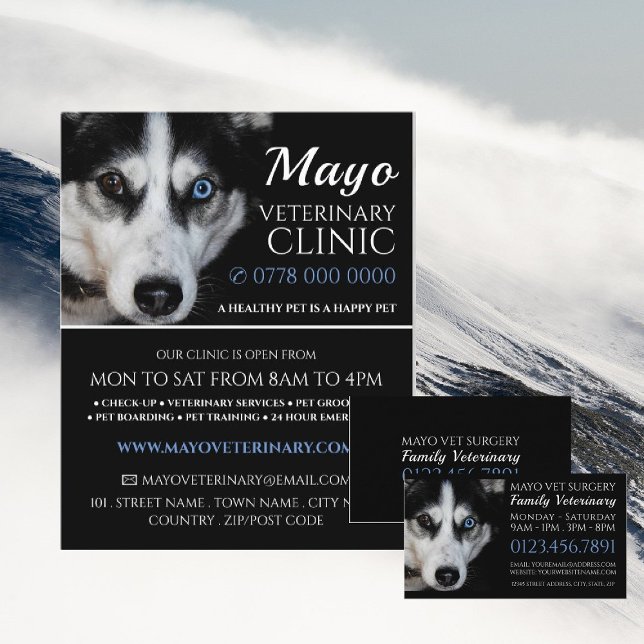 Husky, Veterinarian, Veterinary Service Business Card (Creator Uploaded)