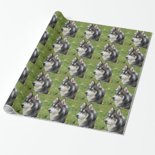 Husky Wrapping Paper