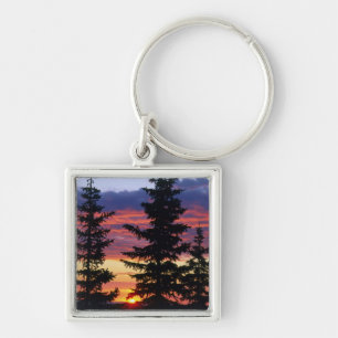 HUSTON PARK WILDERNESS, WYOMING. USA. Spruce Key Ring