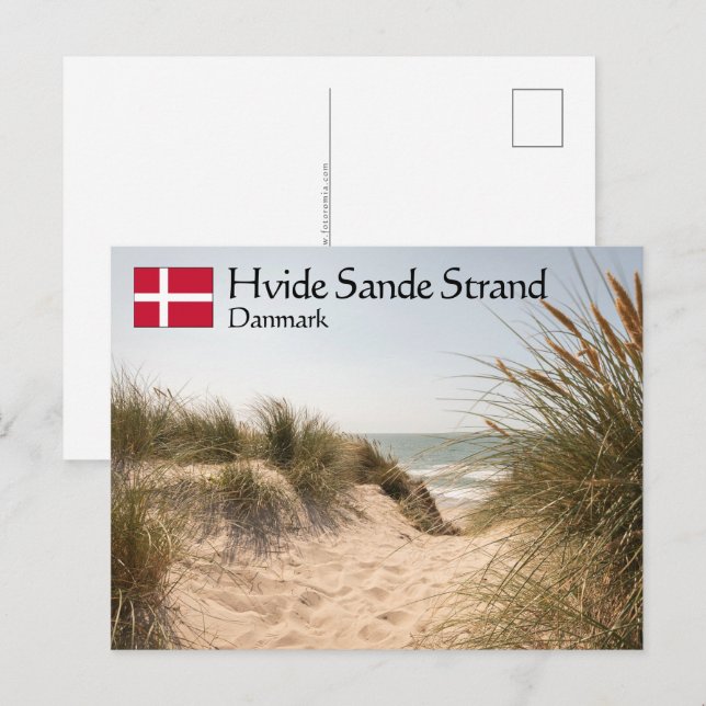 Hvide Sande Denmark Postcard (Front/Back)