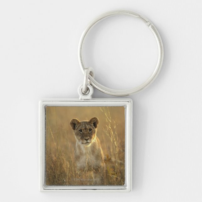 Hwange National Park, Zimbabwe. Key Ring (Front)
