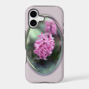 Hyacinth in spring