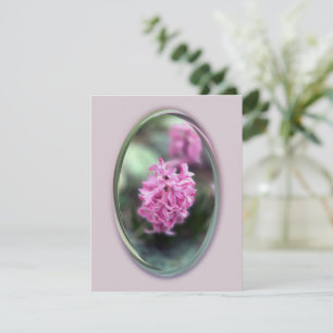 Hyacinth in spring