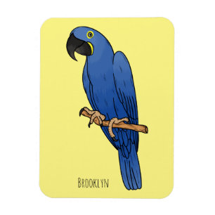 Hyacinth macaw bird cartoon illustration magnet