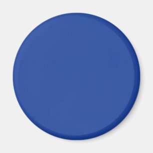 Hyacinth Macaw Blue Magnet
