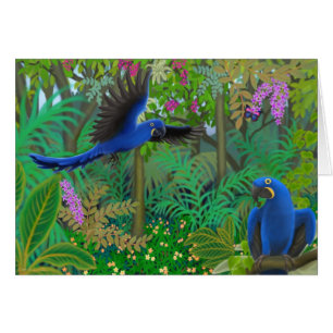 Hyacinth Macaw Jungle