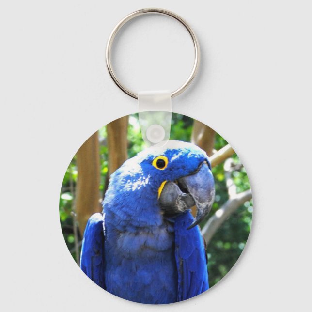Hyacinth Macaw Key Ring (Front)